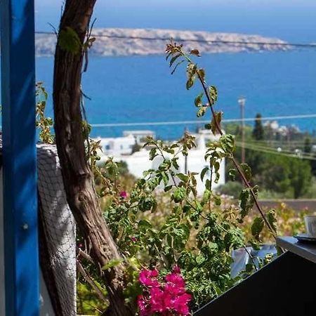 Aloe Paros Suites And Studios Drios Eksteriør billede