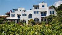 Aloe Paros Suites And Studios Drios Eksteriør billede