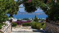 Aloe Paros Suites And Studios Drios Eksteriør billede
